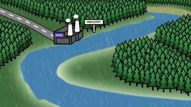 水生生態系:その正体、特徴、種類、例 - 淡水の水生生態系