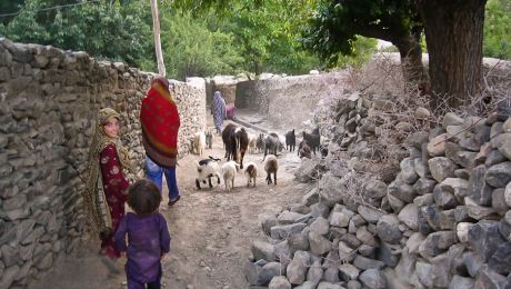 パキスタンのムルタン近くの村は、2010 年に洪水で浸水しました。 ビジュアルニュース パキスタン/ゲッティイメージズ