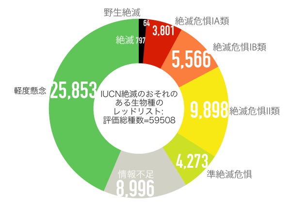 タマウリパス州で絶滅の危機に瀕している動物 - タイラ (エイラ・バーバラ)