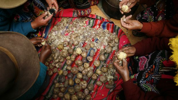 アンデスの守りと復讐の精霊「ラ・パタソラ」