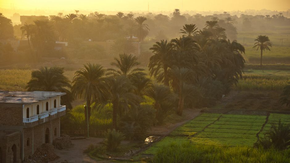 エジプトのバイオダイナミック農業