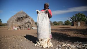 民主的なスペイン カルロス・アリアス・ナバロは、独裁政権の終わりと政権移行の始まりに政府を統治した。