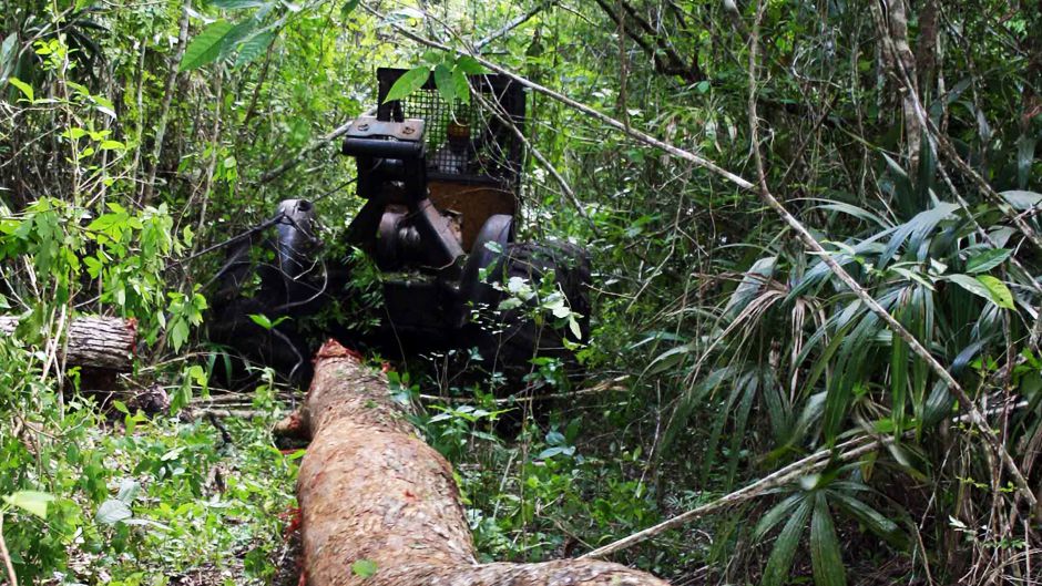 自然保護区と√°保護地域の重要性 - √°保護地域の重要性