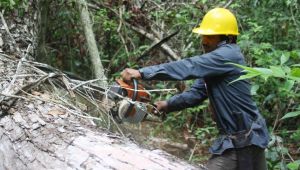 コロンビアで検出された新たな変異株はワクチン耐性