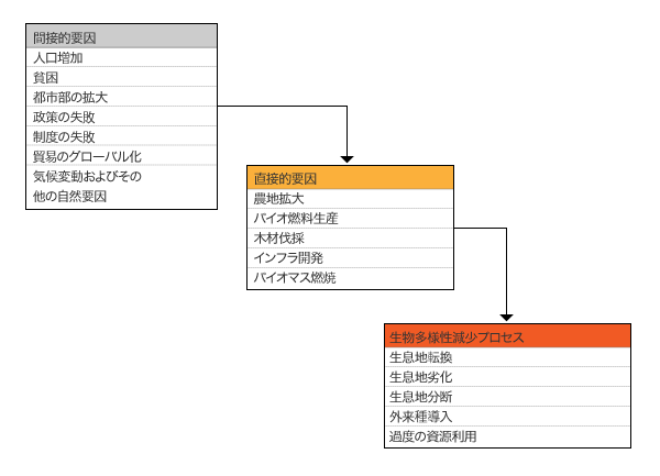 生物気候帯: 亜熱帯生物気候帯とは何か、その正体、地図と特徴 - 亜熱帯生物気候帯