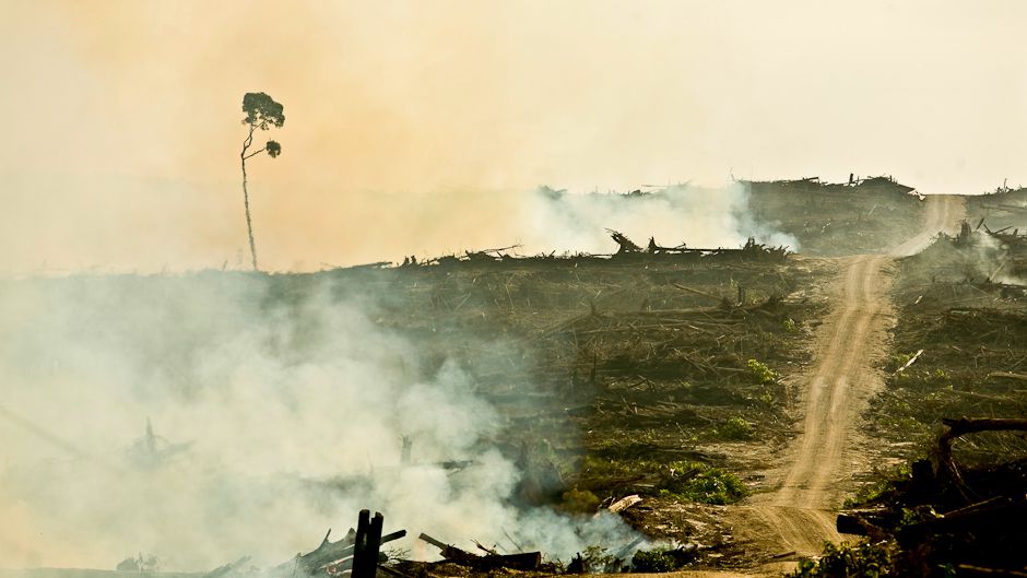 生物多様性とは - 生物多様性の重要性