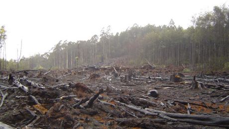 多くの人が直面している問題がアルツハイマー病のリスクを高める