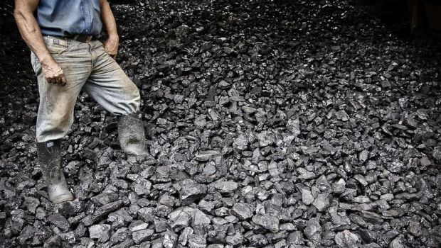 世界で最も孤独だと考えられているブルークジラはどのように暮らしているのでしょうか?