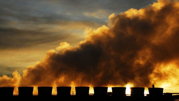 革新的なエコロジープロジェクト - 生分解性砂糖とリネンカー