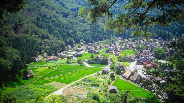 家族が営む「提携」農園への訪問 - OurWorld 日本語