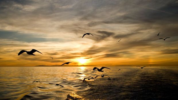 ブラジル政治における最大のスキャンダル6つを思い出してください