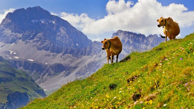 神話:一部の女性が「妊娠」した5つの奇妙な方法