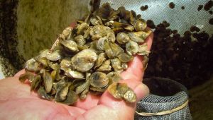 ソードの10は、最低点に達した状況を表す、取り返しのつかない結末のカードとして見られることがよくあります。