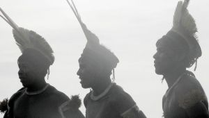 自然人および法人 自然人および法人は権利と義務を契約することができます。