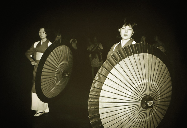 スペインの生物多様性 - スペインの生物多様性の動植物