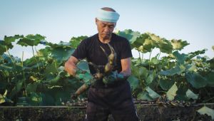 ボリビアの天然資源 - 生物多様性と水