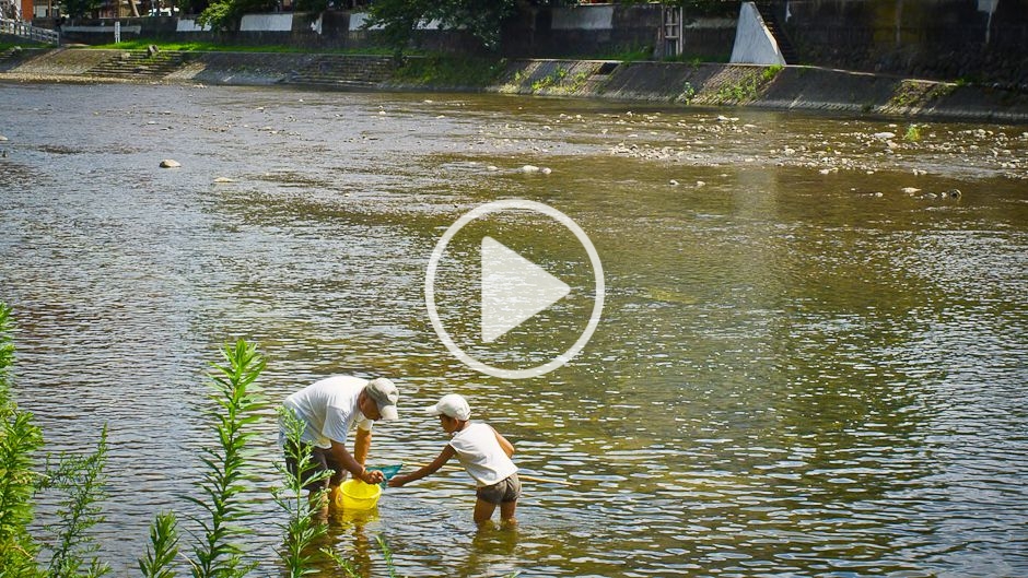 ペルーの生物多様性: 特徴と重要性 - ペルーの生物多様性: 特徴、動植物