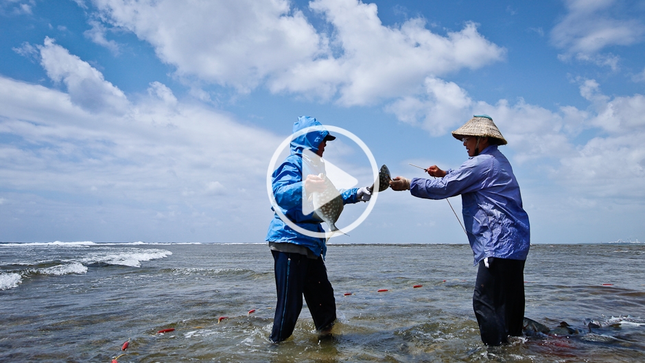 生態系の種類 - 3. 混合生態系とその例