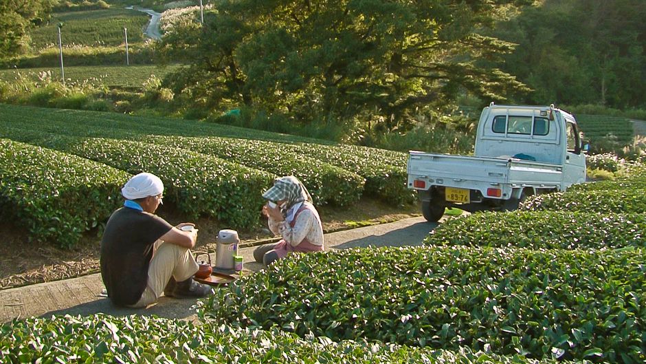 ホラー映画を生き抜くための 7 つの貴重なヒント