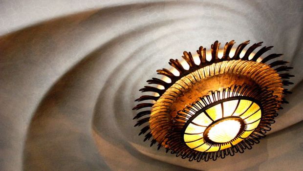 生物学者は、ヘビがワニを飲み込んだ直後にニシキヘビのX線写真を撮影した