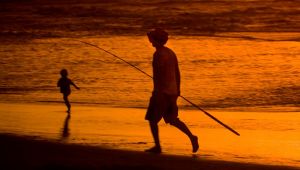 地球温暖化を避けるには - 地球温暖化とは何か、その原因は何ですか