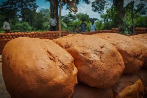 リオにおける無料または人気の心理ケア