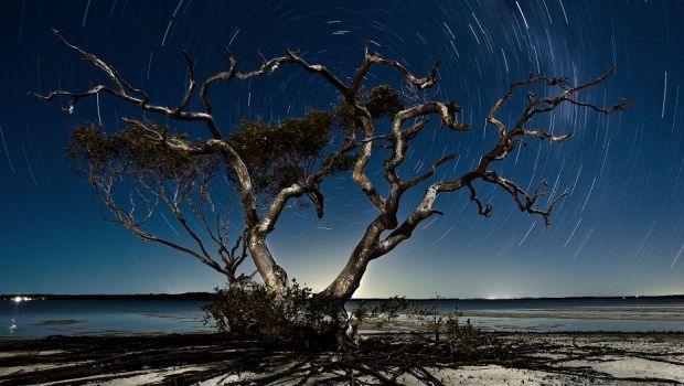 アマチュア映画製作者が 15 台の GoPro カメラでマトリックス効果を再現