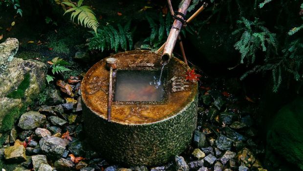 イライラ：原因と考えられる治療法を確認する