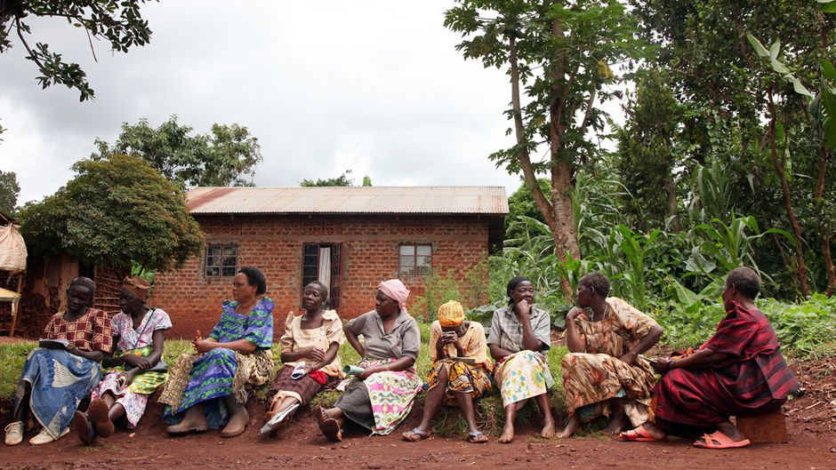 庭のための地中海植物 - ゼリスケープまたは持続可能なガーデニングとは何ですか