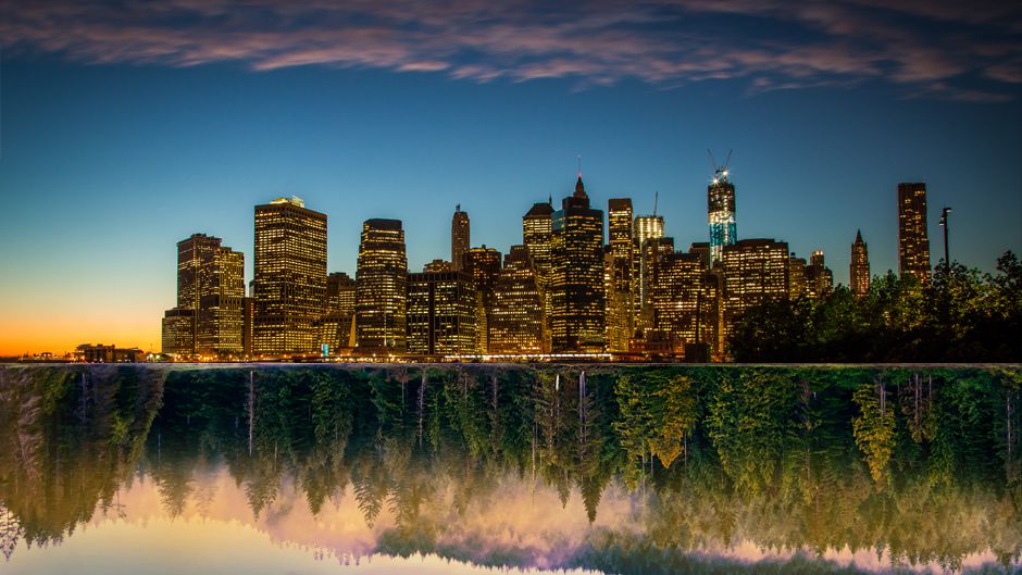 都市生態学とは何か