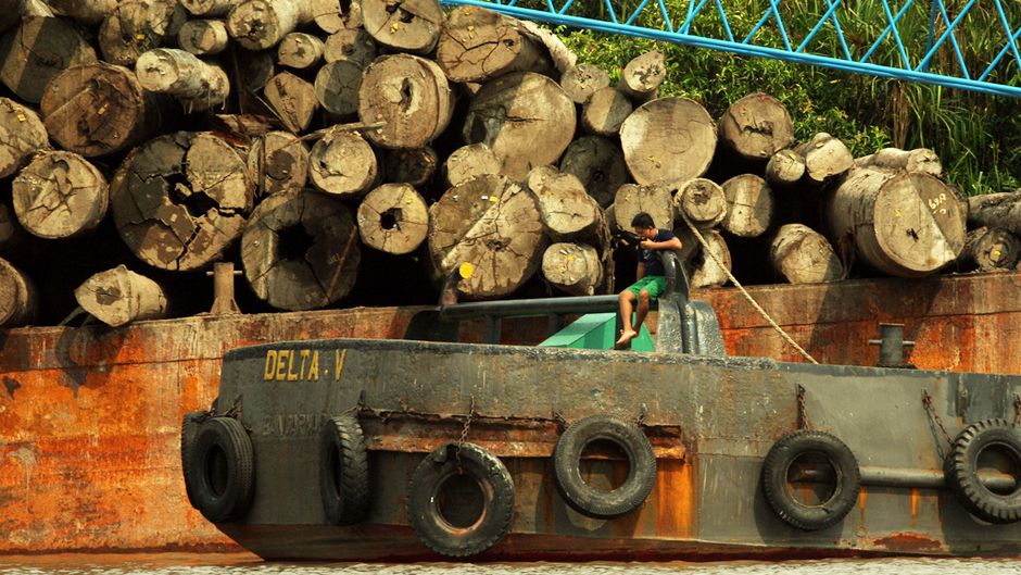 ボリビアの環境問題 - 森林火災