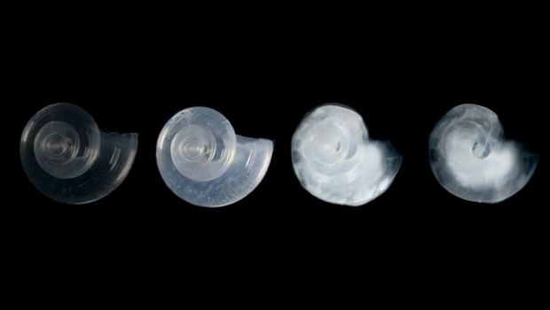 あなたのお気に入りの漫画を台無しにする 5 つの邪悪な理論