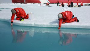 人為的浸食: その概要と例 - 人為的または人為的浸食に関する結論