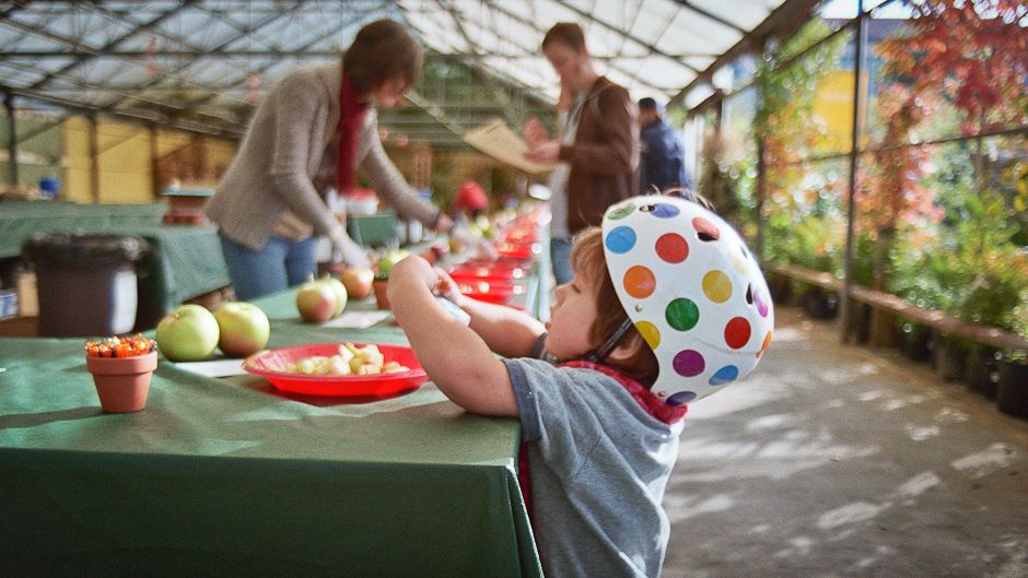 庭園を生物多様性の楽園に変えましょう - ようこそ、鳥たちと花粉媒介者たち