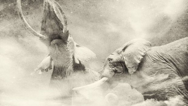 なぜ髪の毛がカールしてしまうのでしょうか?