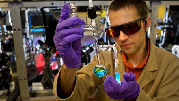 科学者たちはアジアの巨大動物相の消滅の原因を明らかにする