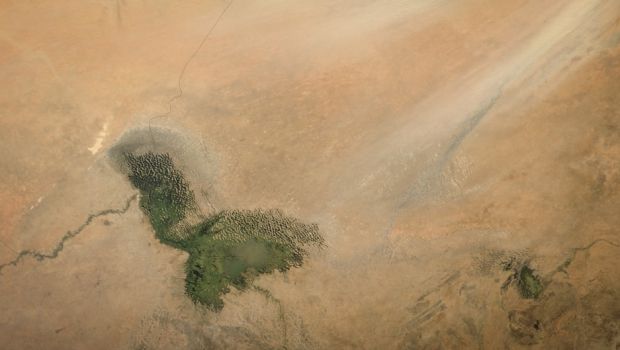 くまがあなたの健康について何を物語っているかを発見してください