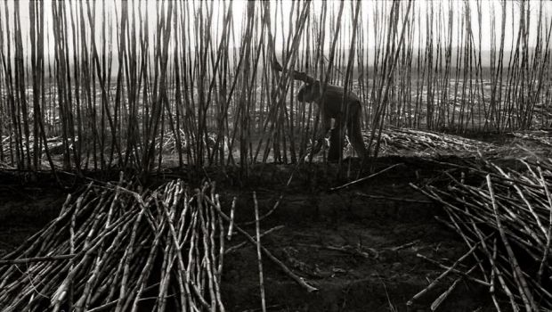 消化しやすい食べ物 最も消化しやすい食品はどれですか?