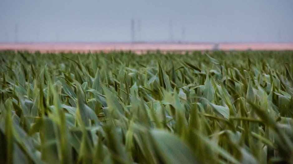 世界で最も辺鄙な場所 - プント ネモ