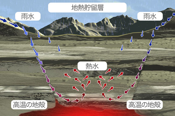 温室でのトマト栽培