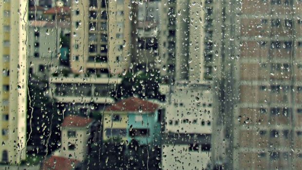 都市における緑地の重要性