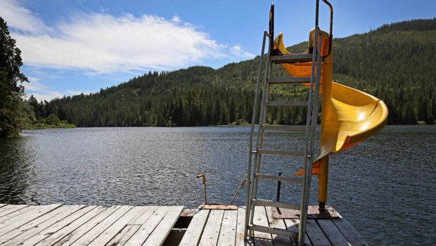 スペインで絶滅の危機に瀕している植物 – Paular Geranium (Erodium paularense)