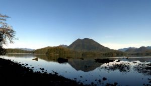 エルサルバドルで絶滅の危機に瀕している動物たち - Caracol cambute