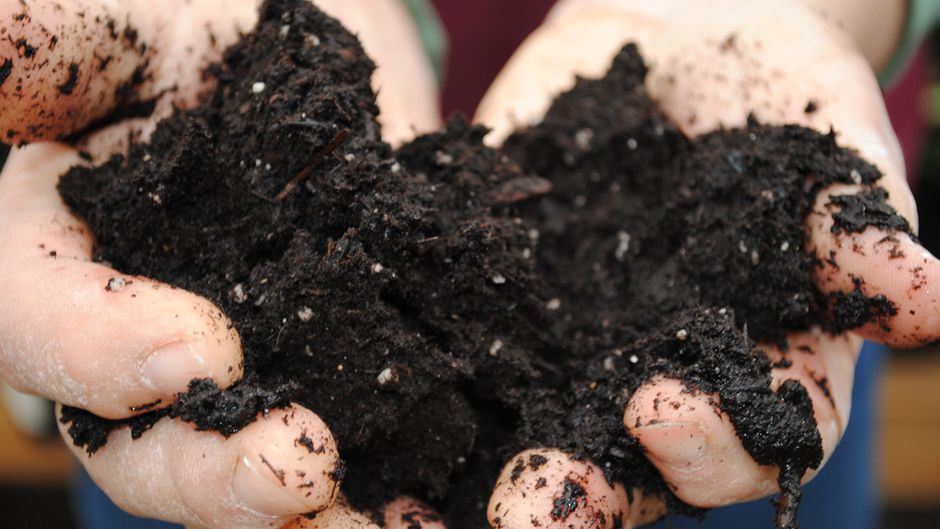 Soil Bacteria Offer Clues to Curbing Antibiotic Resistance
