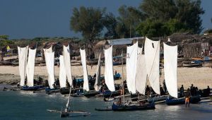 アジアの自然地域 - 南西部の乾燥平原