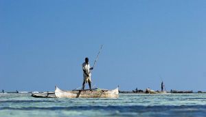 海洋資源: その概要、種類、例