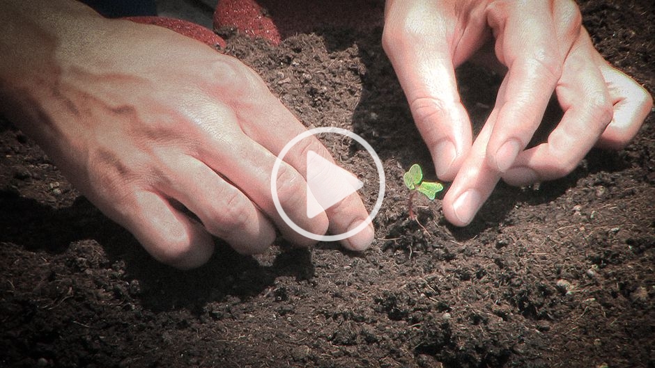 緑豊かな都市: その概要と例 - カナダ、バンクーバー