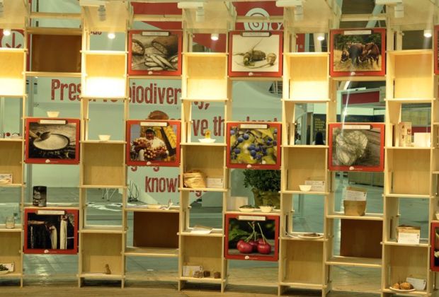 カナリア諸島で絶滅の危機に瀕している動物 - Pimelia de las arenas または bonbon (Pimelia granulicollis)