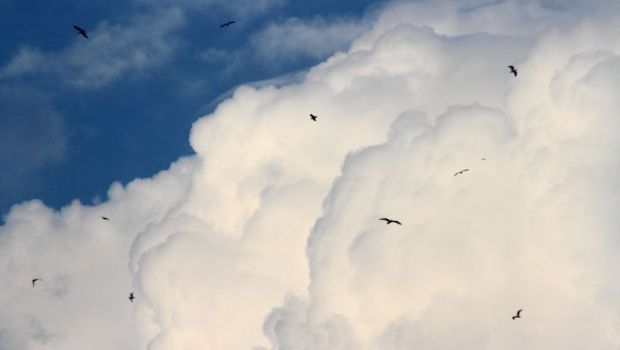 科学者が警告:スペースデブリの破片は11月に地球に落下するだろう