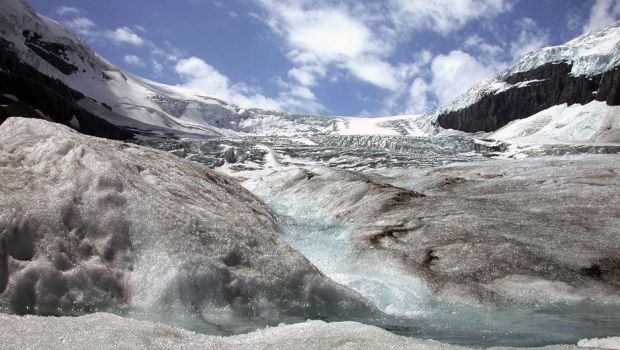 私たちが気候変動の緊急事態に直面していることを証明する 4 つの事実